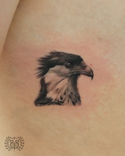 David DaVinci tattoo sample 1