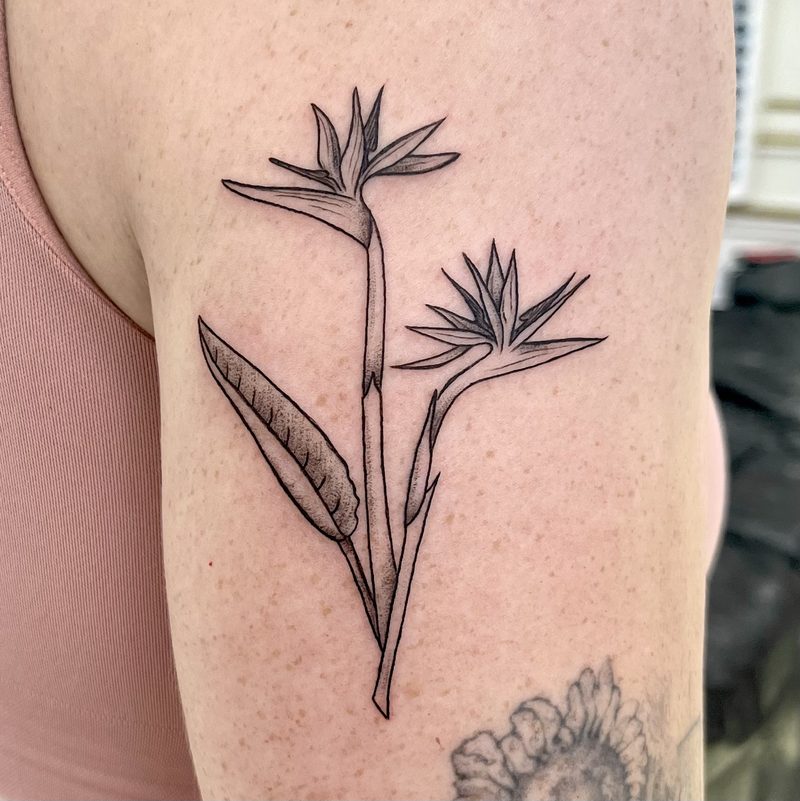 Hannah Newman portfolio — Apollo Tattoo Studio, Selected work by Hannah, piece 20