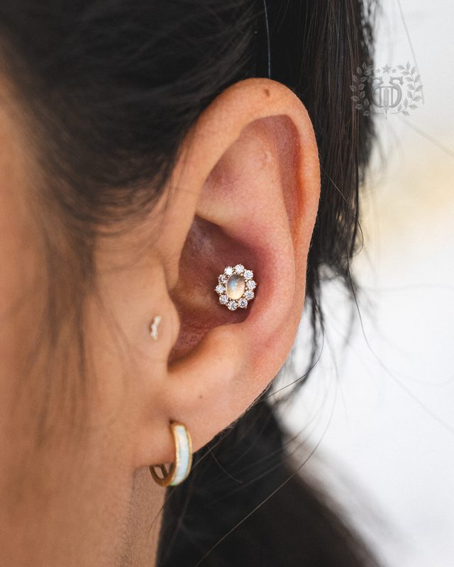 Conch Piercing at Apollo Tattoo & Piercing Studio — Apollo Tattoo & Piercing Studio 3
