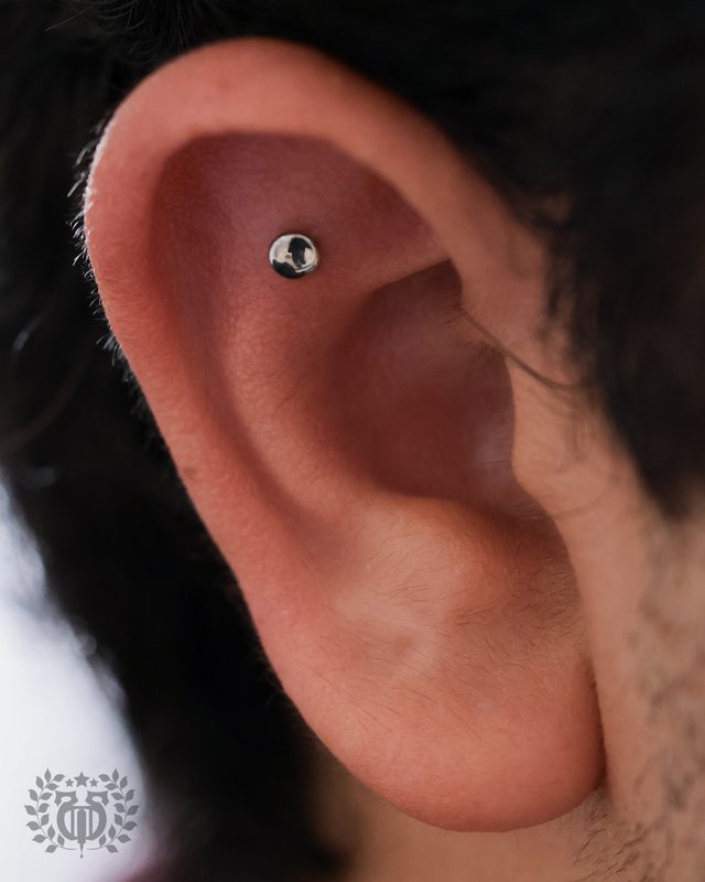 Flat Piercing at Apollo Tattoo & Piercing Studio — Apollo Tattoo & Piercing Studio 5