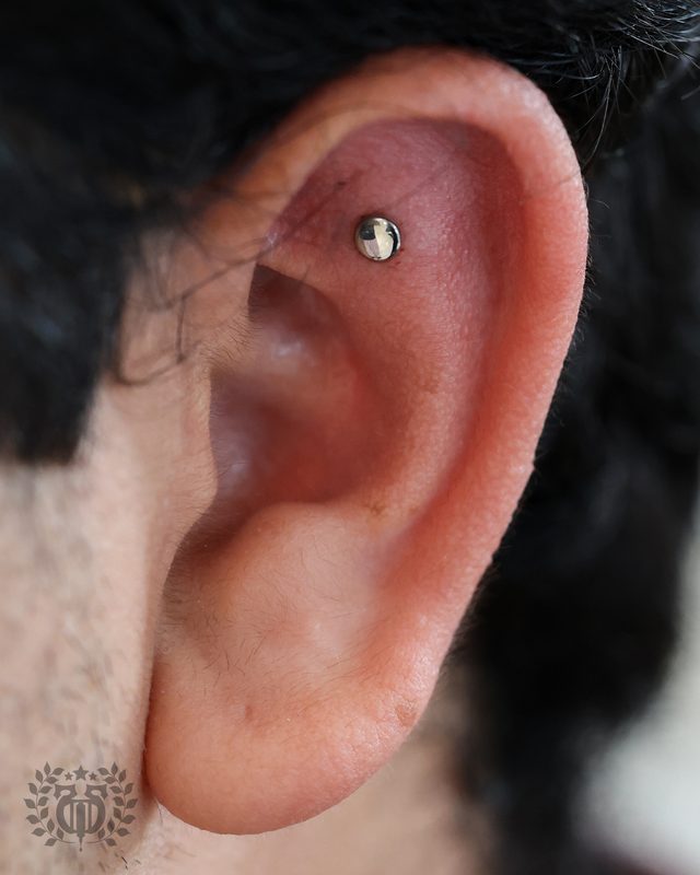 Flat Piercing at Apollo Tattoo & Piercing Studio — Apollo Tattoo & Piercing Studio 6