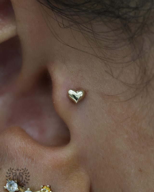 Tragus Piercing at Apollo Tattoo & Piercing Studio — Apollo Tattoo & Piercing Studio 6