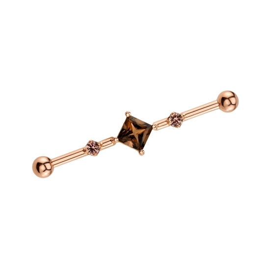 Traditional Earring - Sidewinder - 20mm Vertical Bar with 30mm Ellipse Holding 20mm Smaller Elipse - 1mm Gems on Bar and Outer Ellipse, Pave Texture Only on Inner Ellipse
