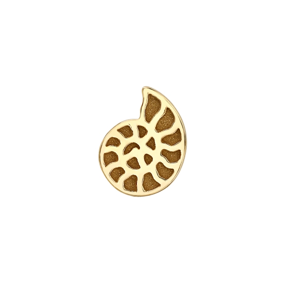 Threaded End with Nautilus - 6mm - Ammonite Shell - Raised Edges and Sandblasted Hollows