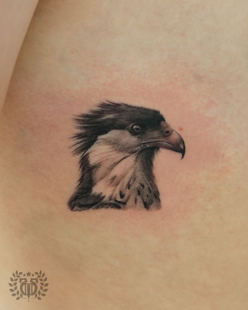 Black Gray Realism tattoos at Apollo Tattoo Studio