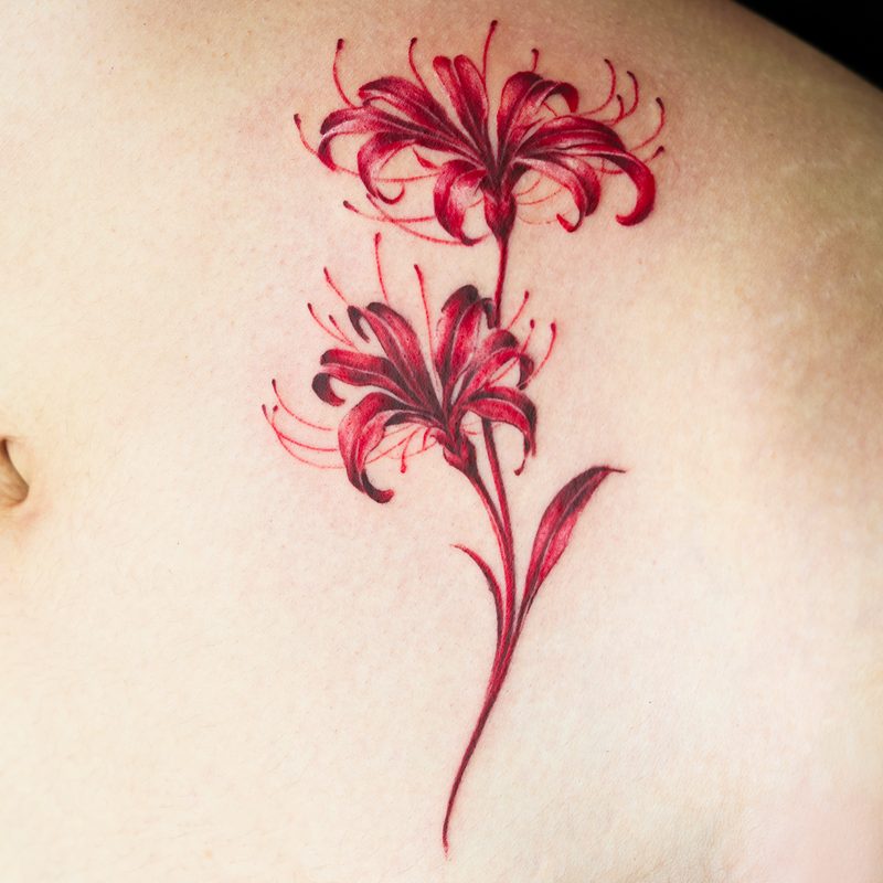 Hummingbird