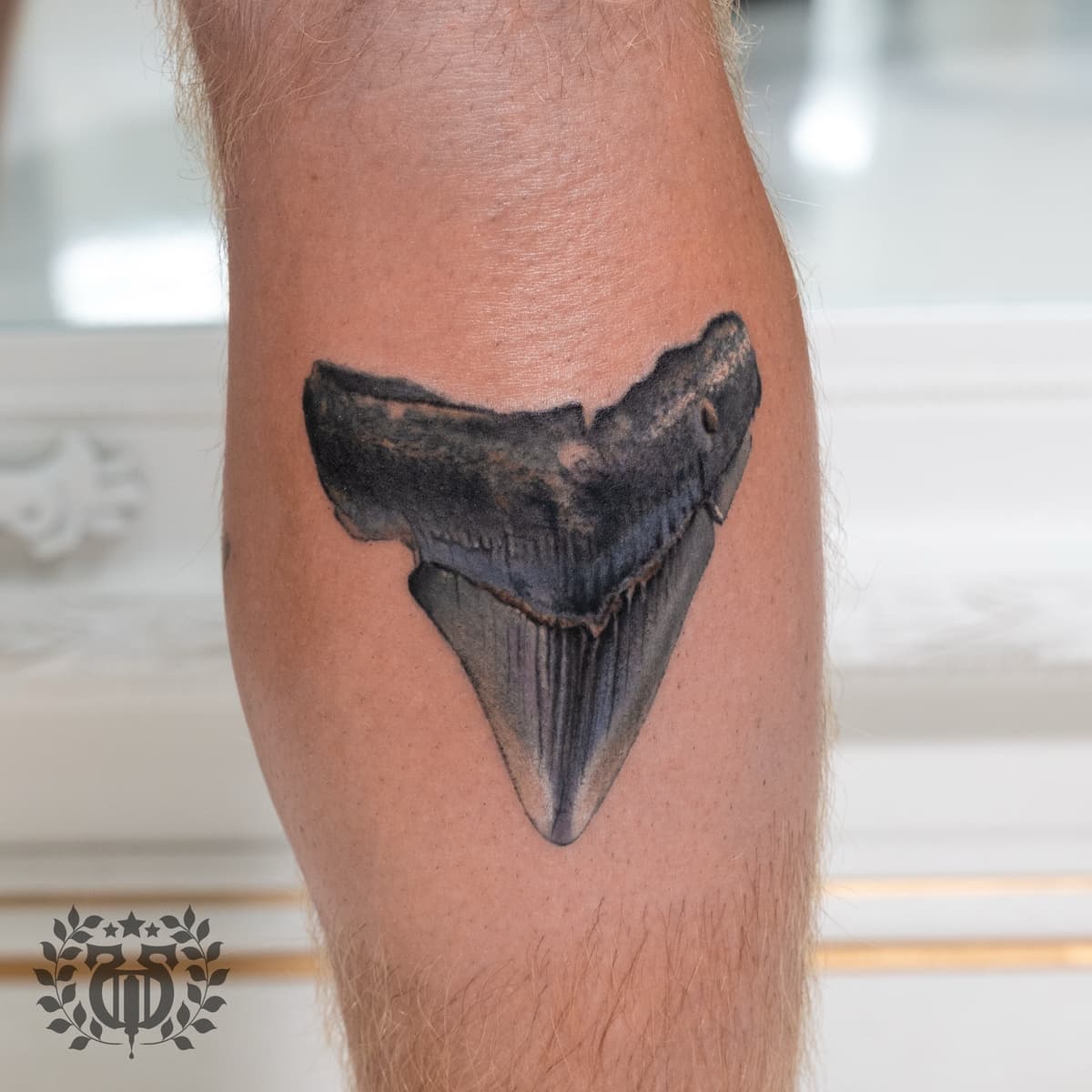 David DaVinci color tattoo work, Apollo Studio
