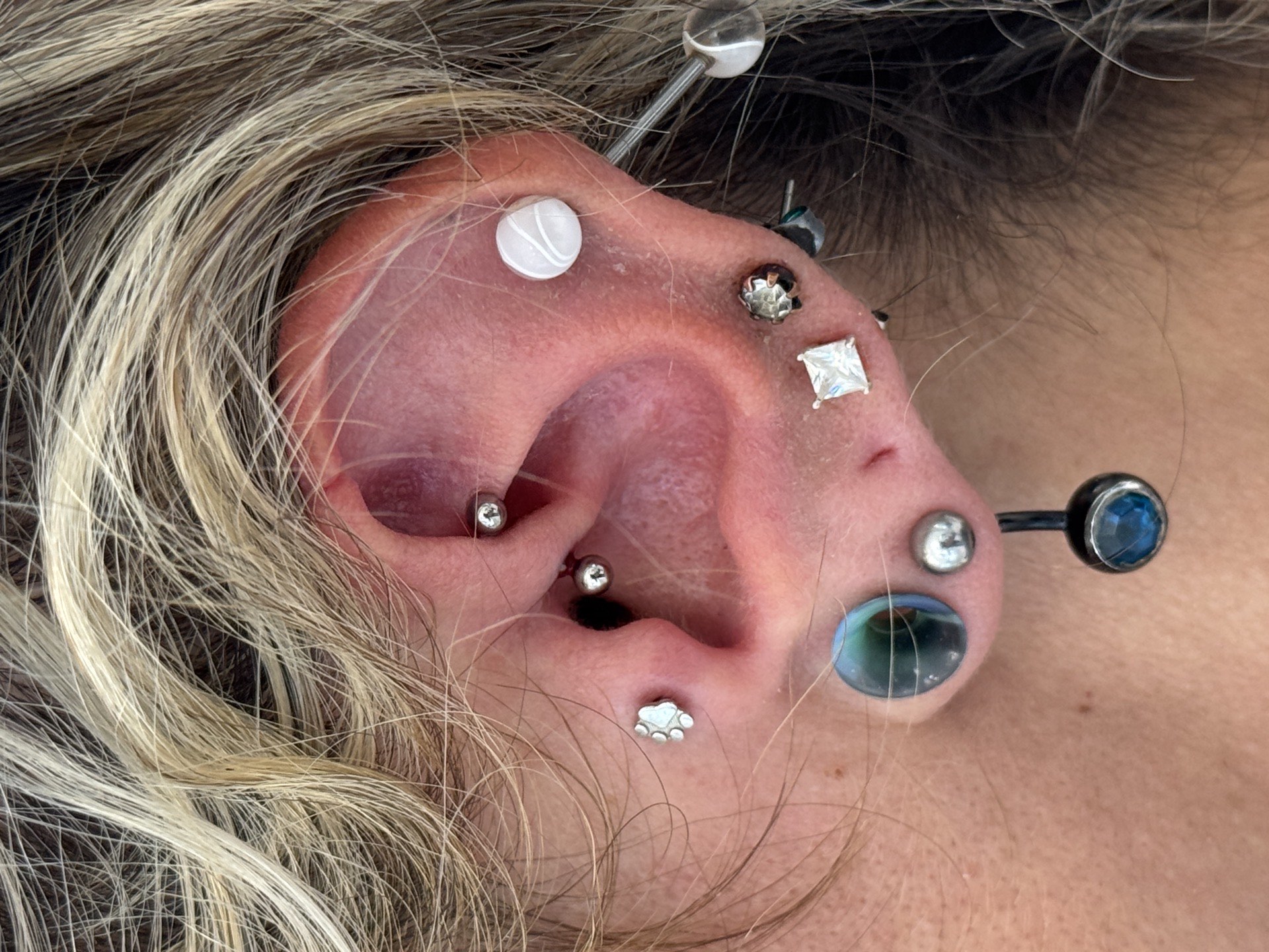 Curated ear with daith piercing industrial bar and gemstone studs at Apollo LA