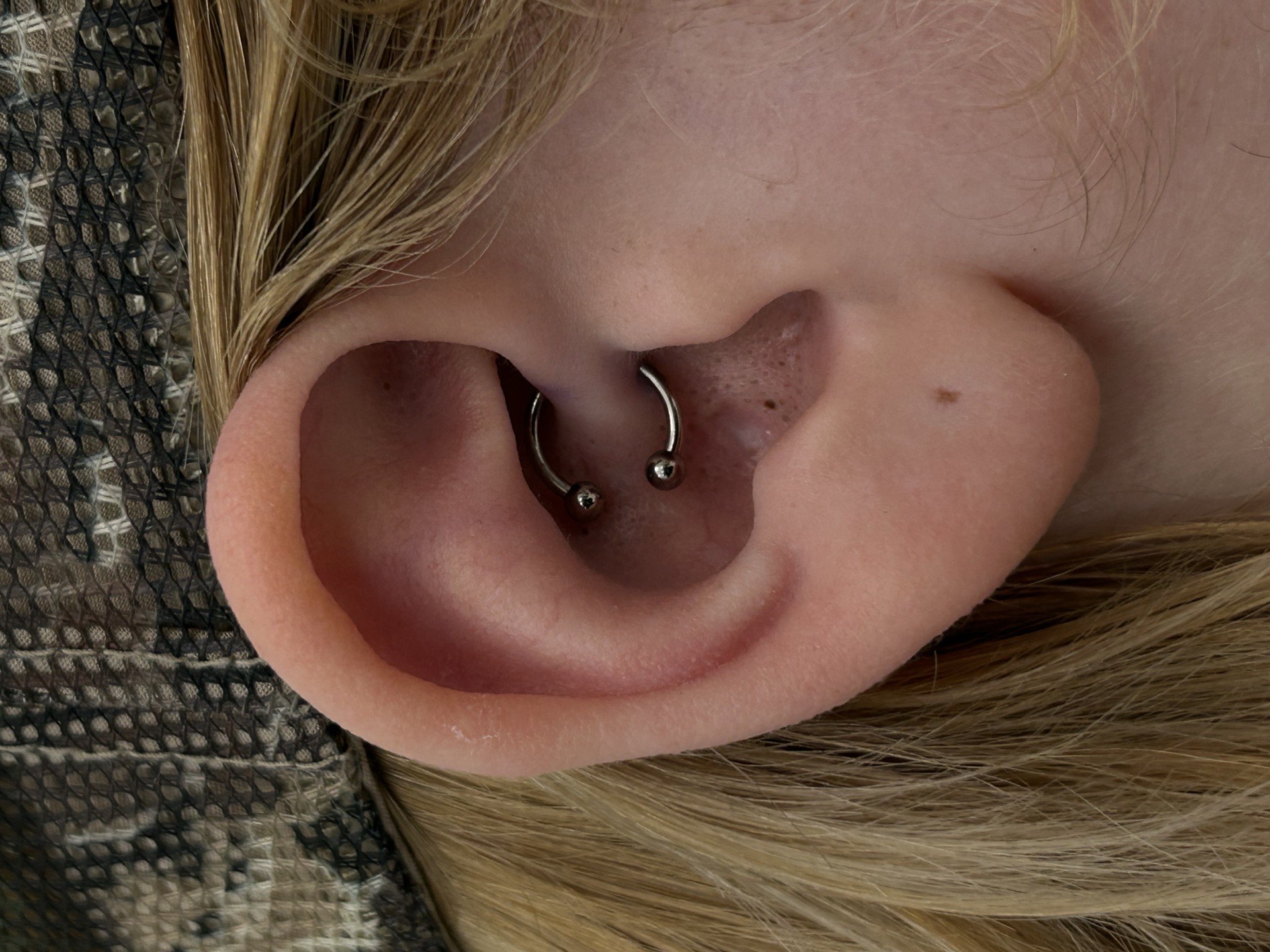 Silver horseshoe ring daith piercing with ball ends close-up at Apollo Studio Los Angeles