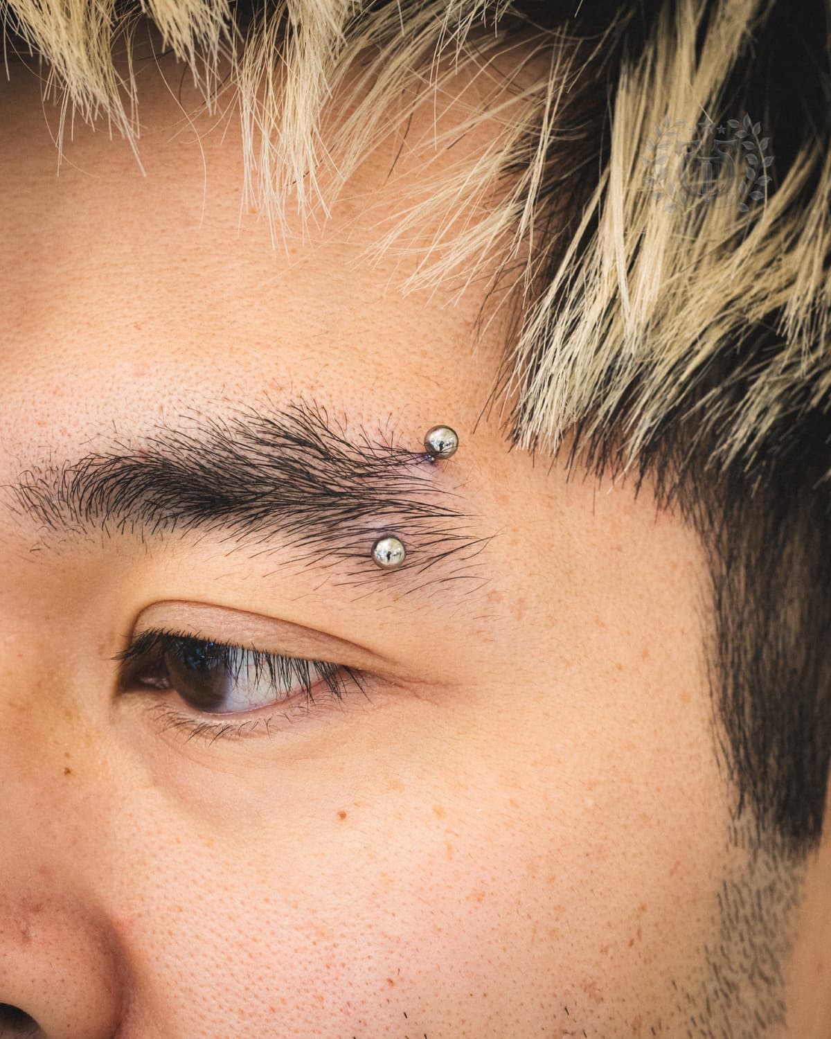 Eyebrow piercing with silver curved barbell on male client at Apollo Studio