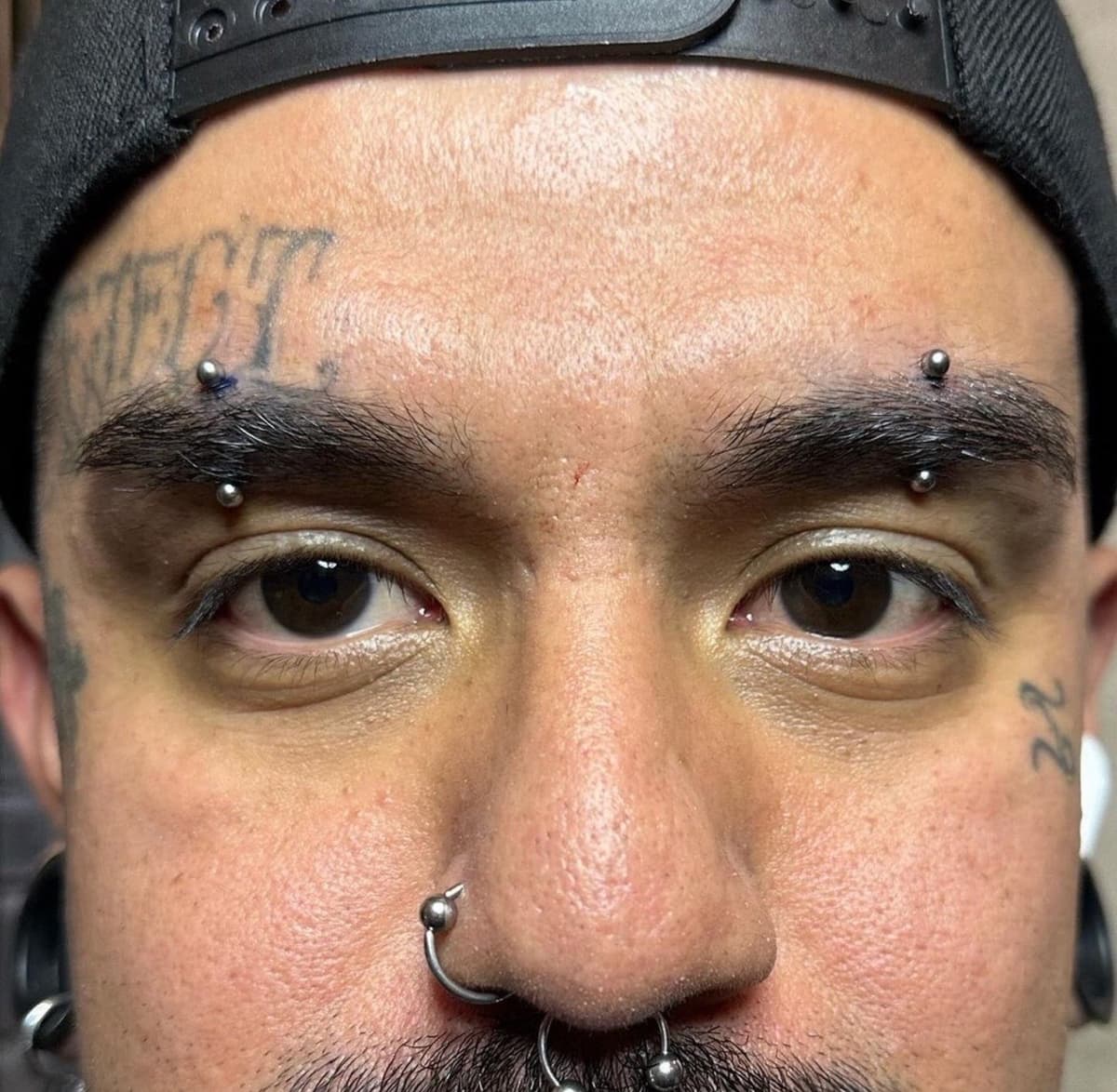 Double eyebrow piercings with curved barbells and septum ring at Apollo LA