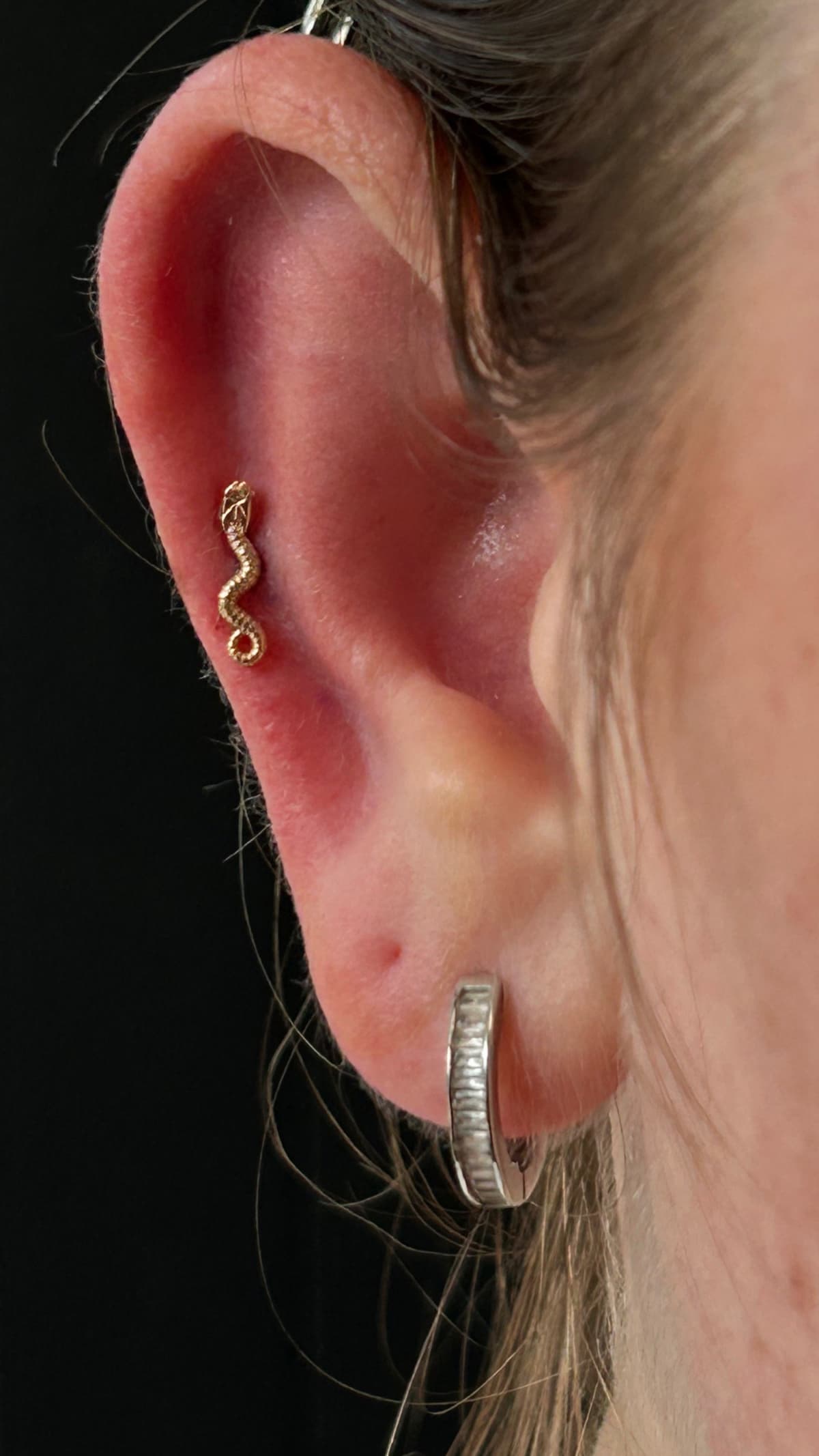 BVLA conch jewelry close-up at Apollo Los Angeles