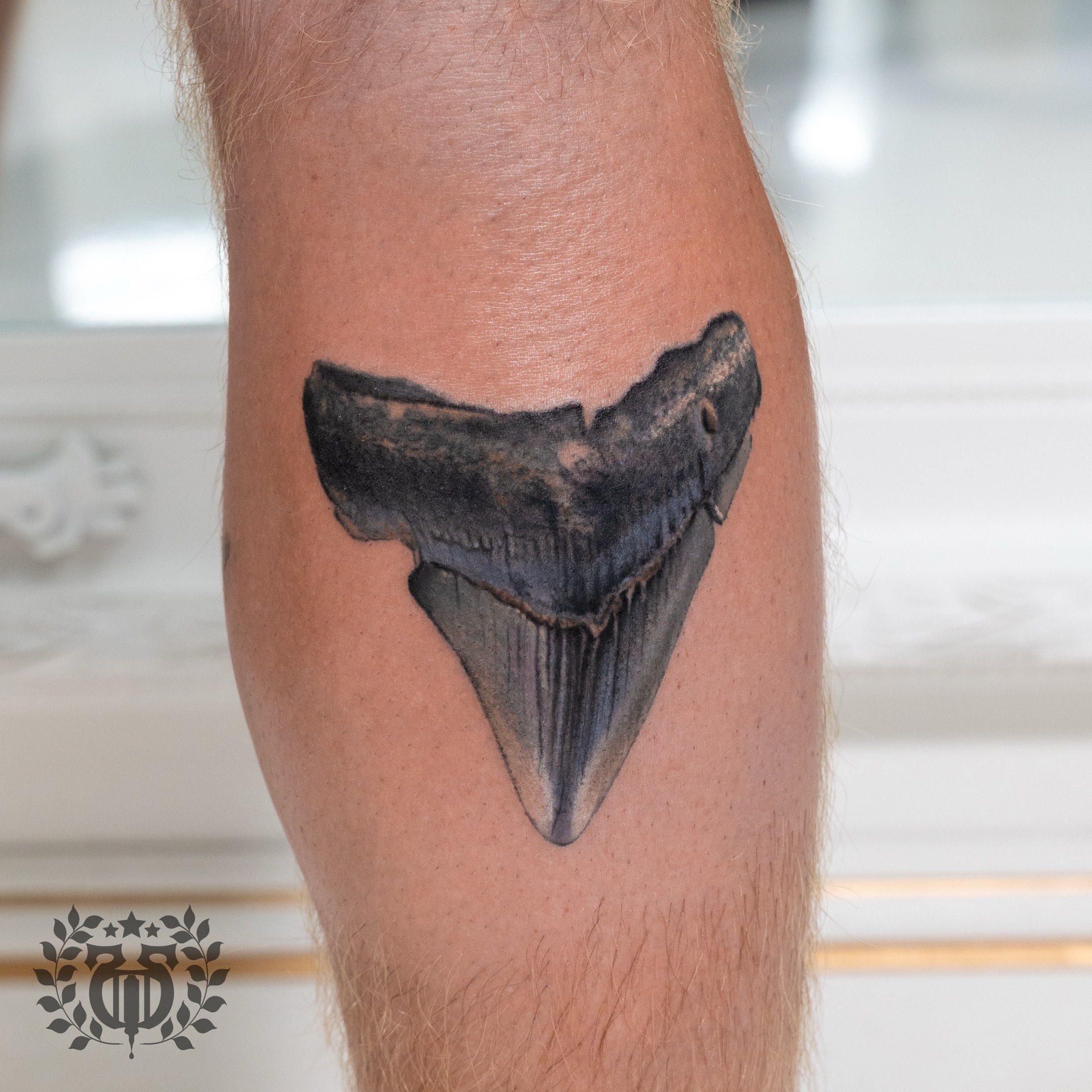 Black and grey realistic shark tooth realism tattoo on calf in Los Angeles