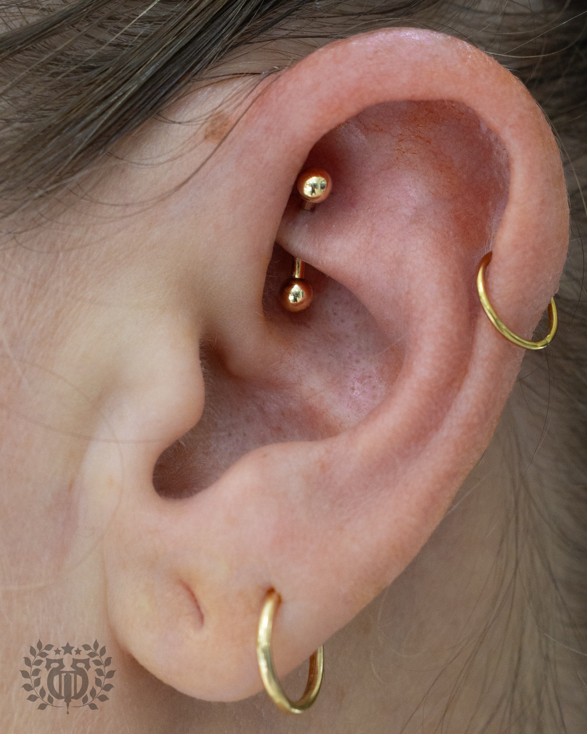 Rook piercing with gold ball curved barbell and gold helix ring with lobe hoops at Apollo LA