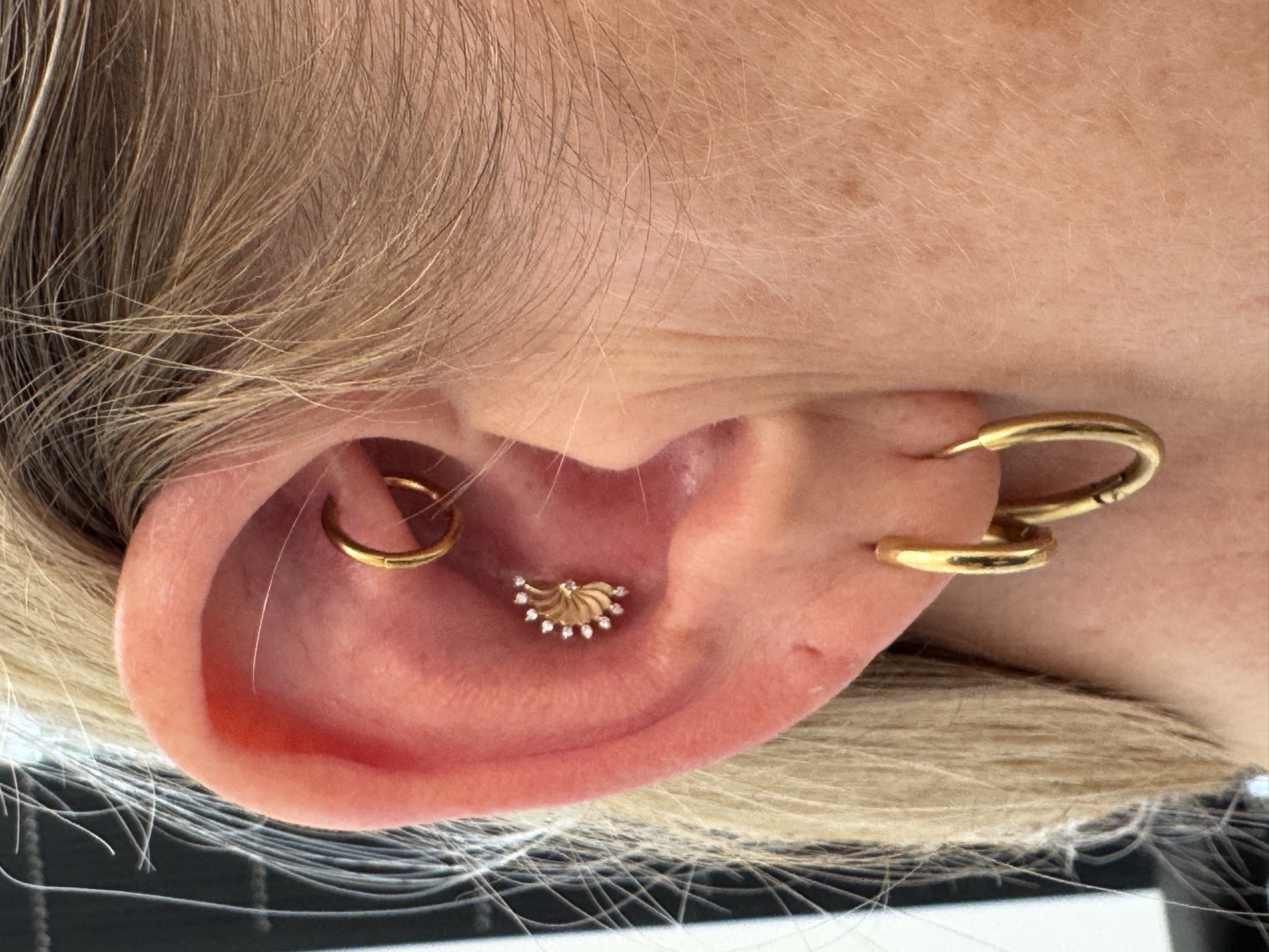 Gold rook ring with daith fan-shaped CZ clicker and gold conch hoop at Apollo Studio