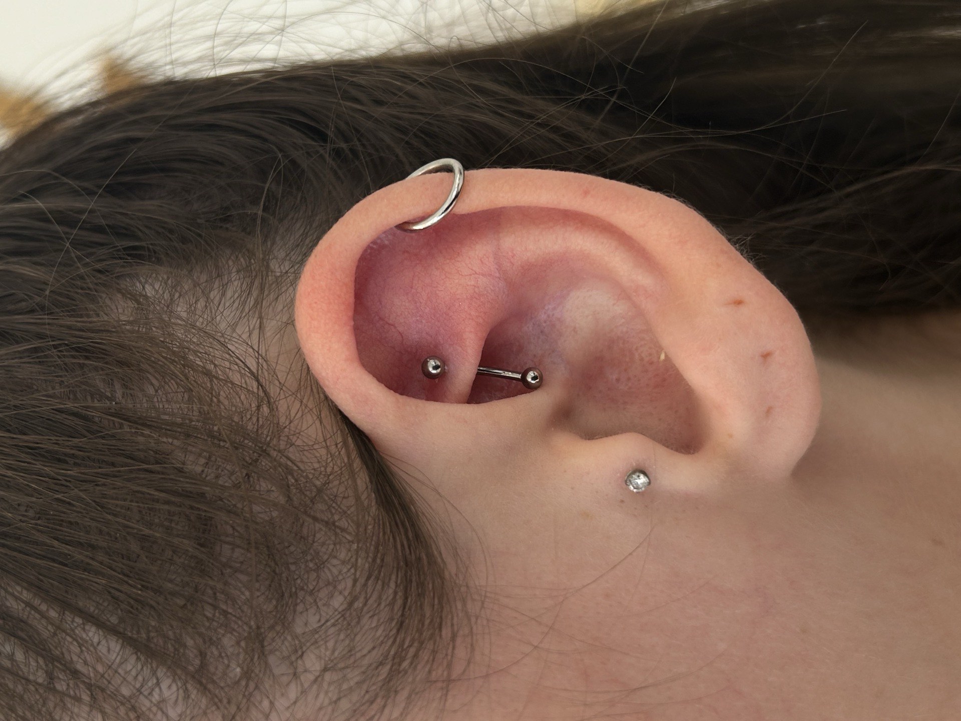 Rook piercing with curved barbell helix ring and tragus CZ stud at Apollo Studio Los Angeles