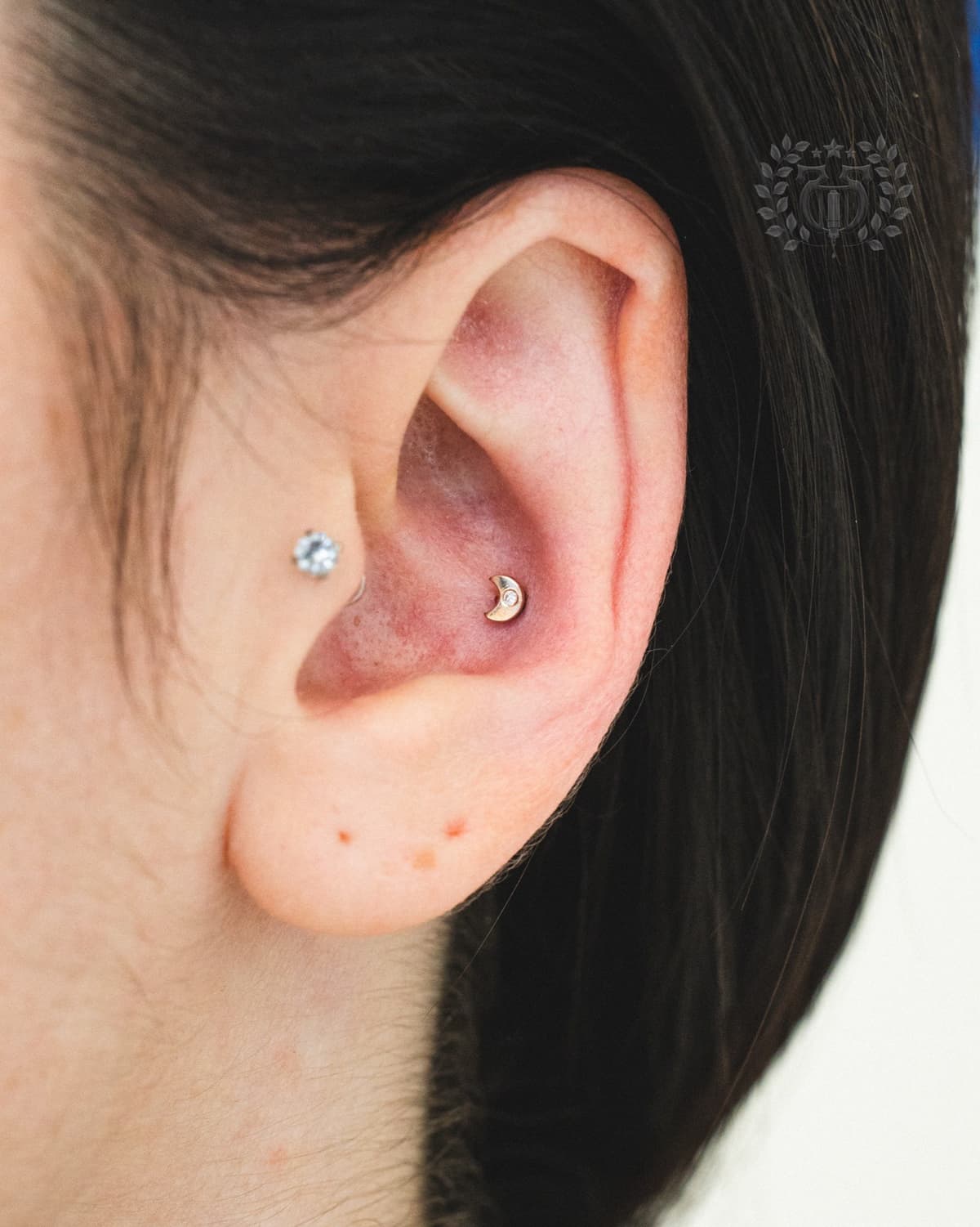 Conch piercing at Apollo Studio Los Angeles