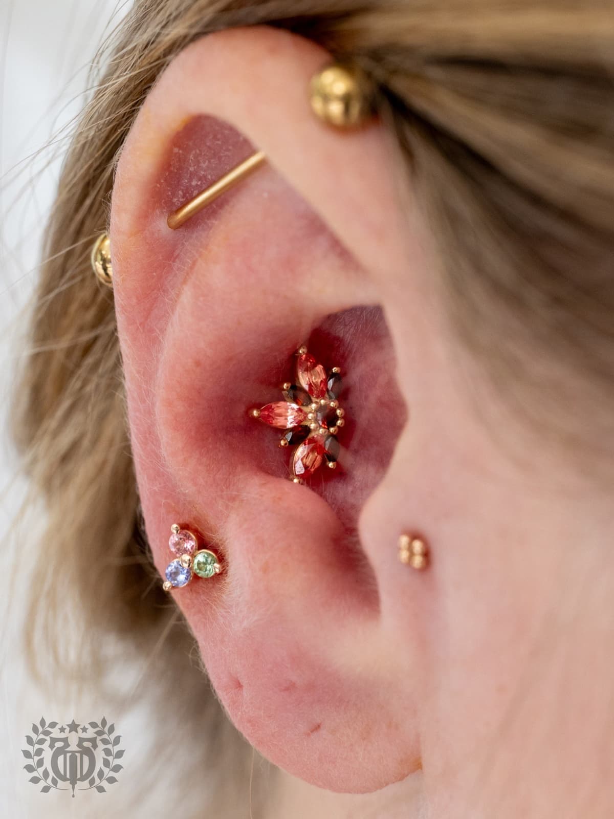 Conch piercing at Apollo Studio Los Angeles