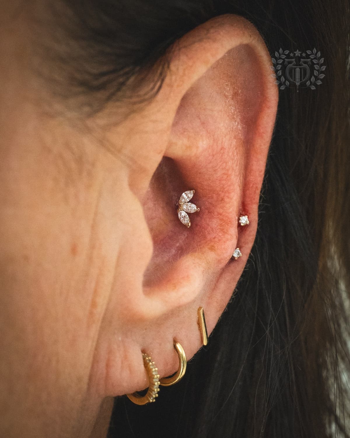 Conch piercing at Apollo Studio Los Angeles