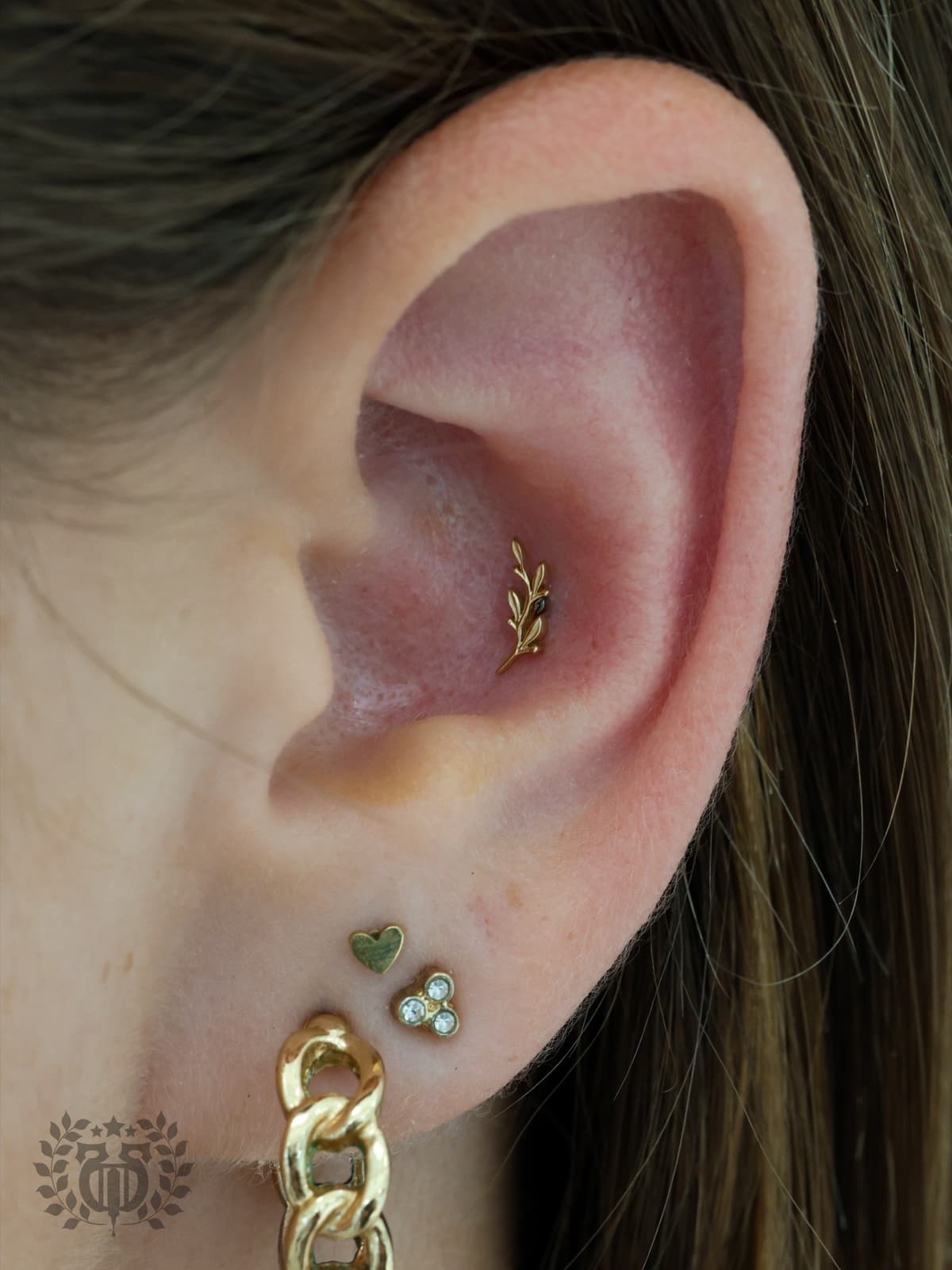 Conch piercing at Apollo Studio Los Angeles