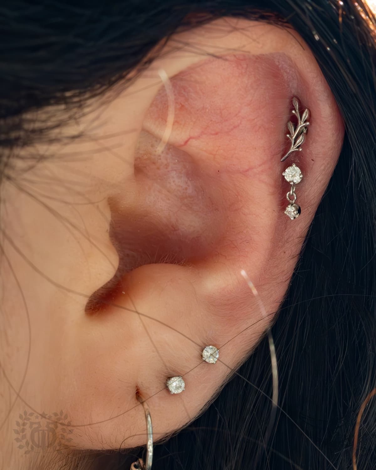Nipple piercing placement and jewelry selection at Apollo Studio