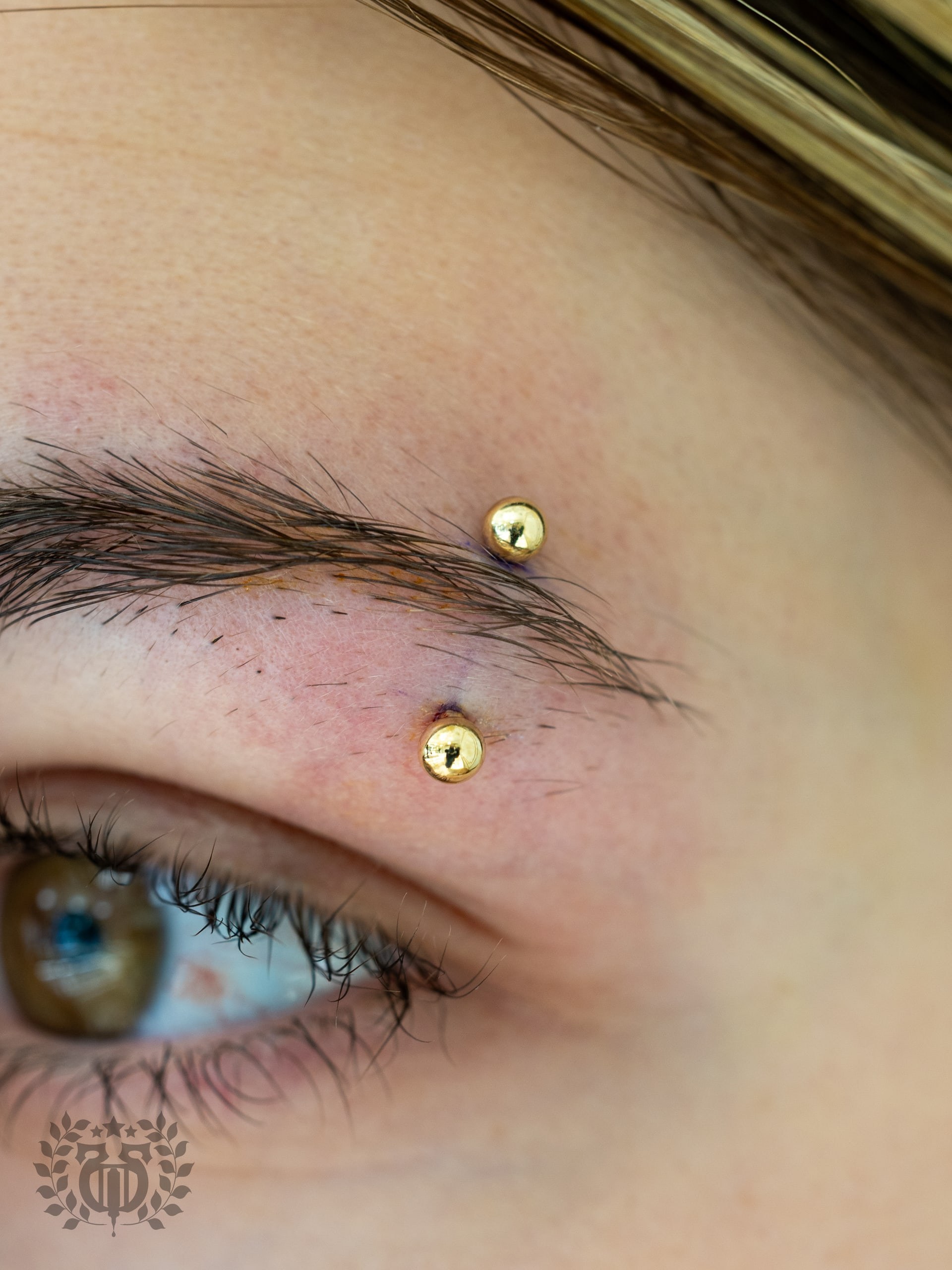 Curved barbell eyebrow piercing with spike ends at Apollo Studio Los Angeles