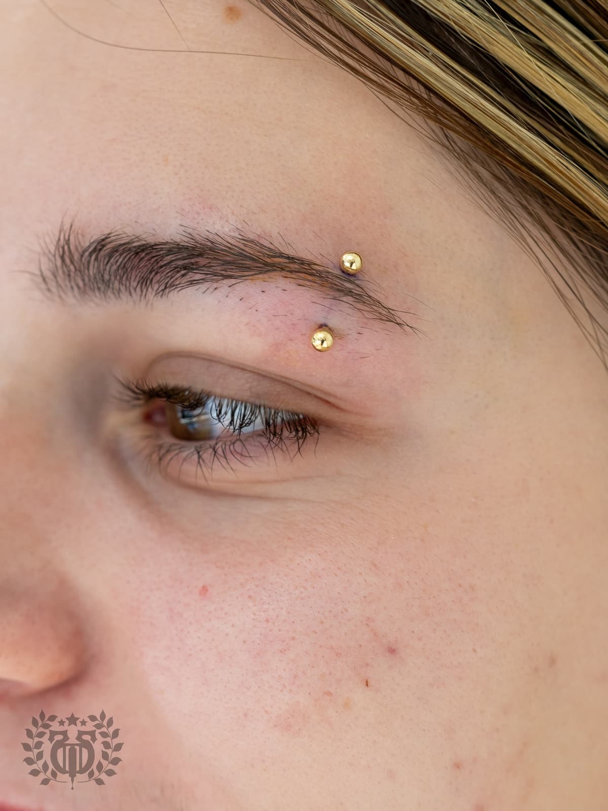 Double eyebrow piercings with curved barbells and septum ring at Apollo LA
