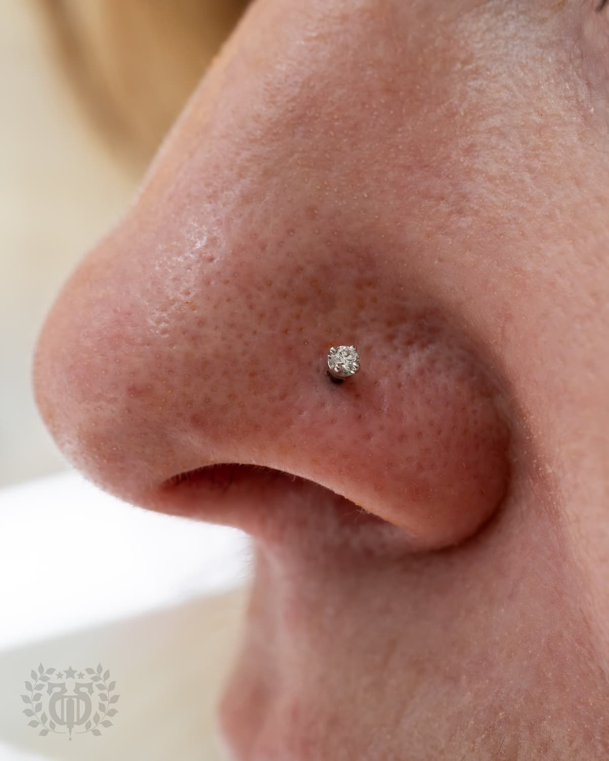 Nose piercing at Apollo Studio Los Angeles