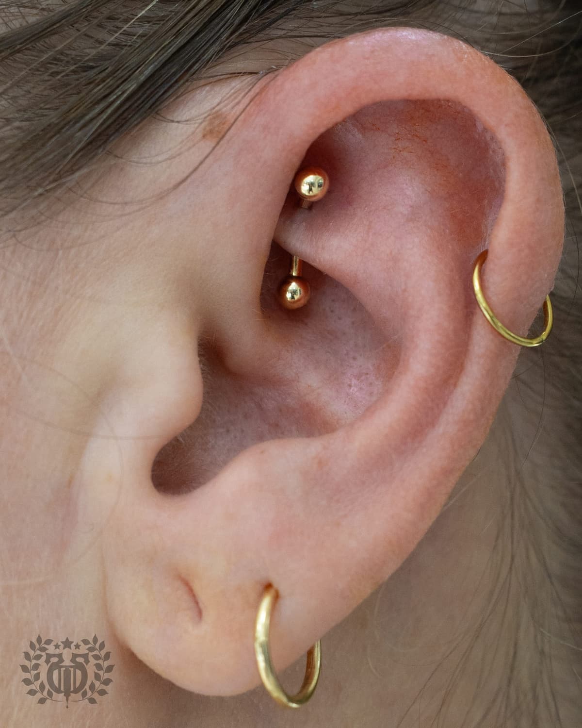 Rook piercing at Apollo Studio Los Angeles