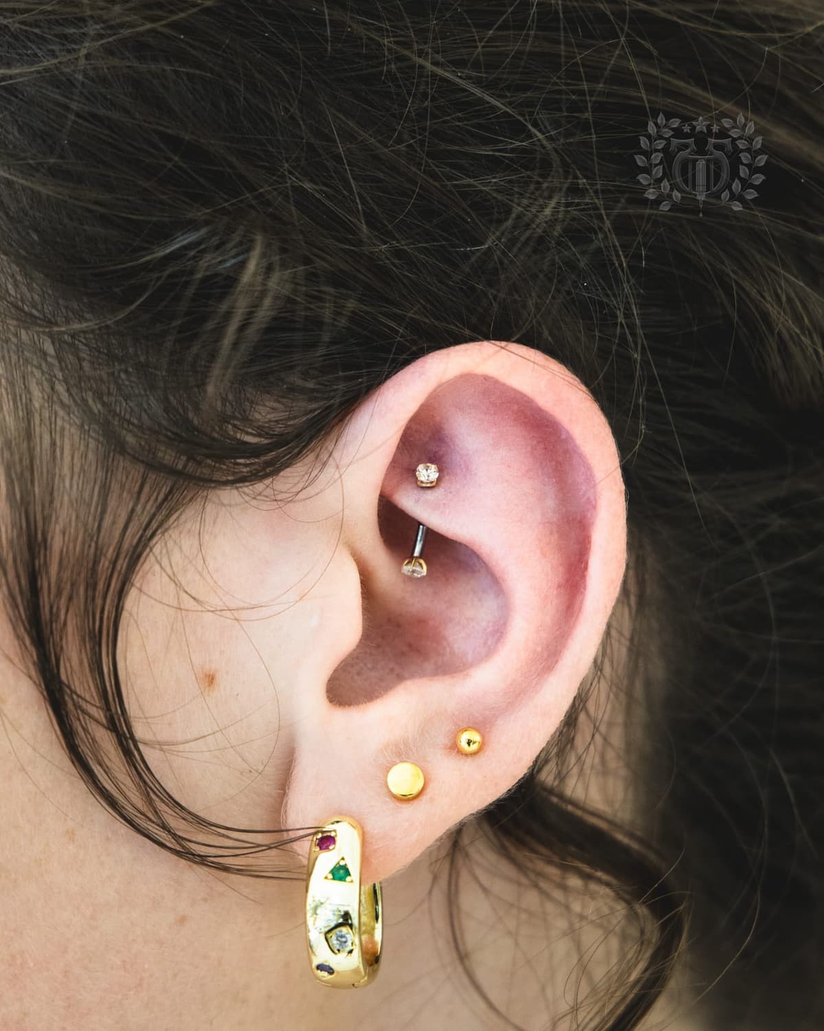 Rook piercing at Apollo Studio Los Angeles