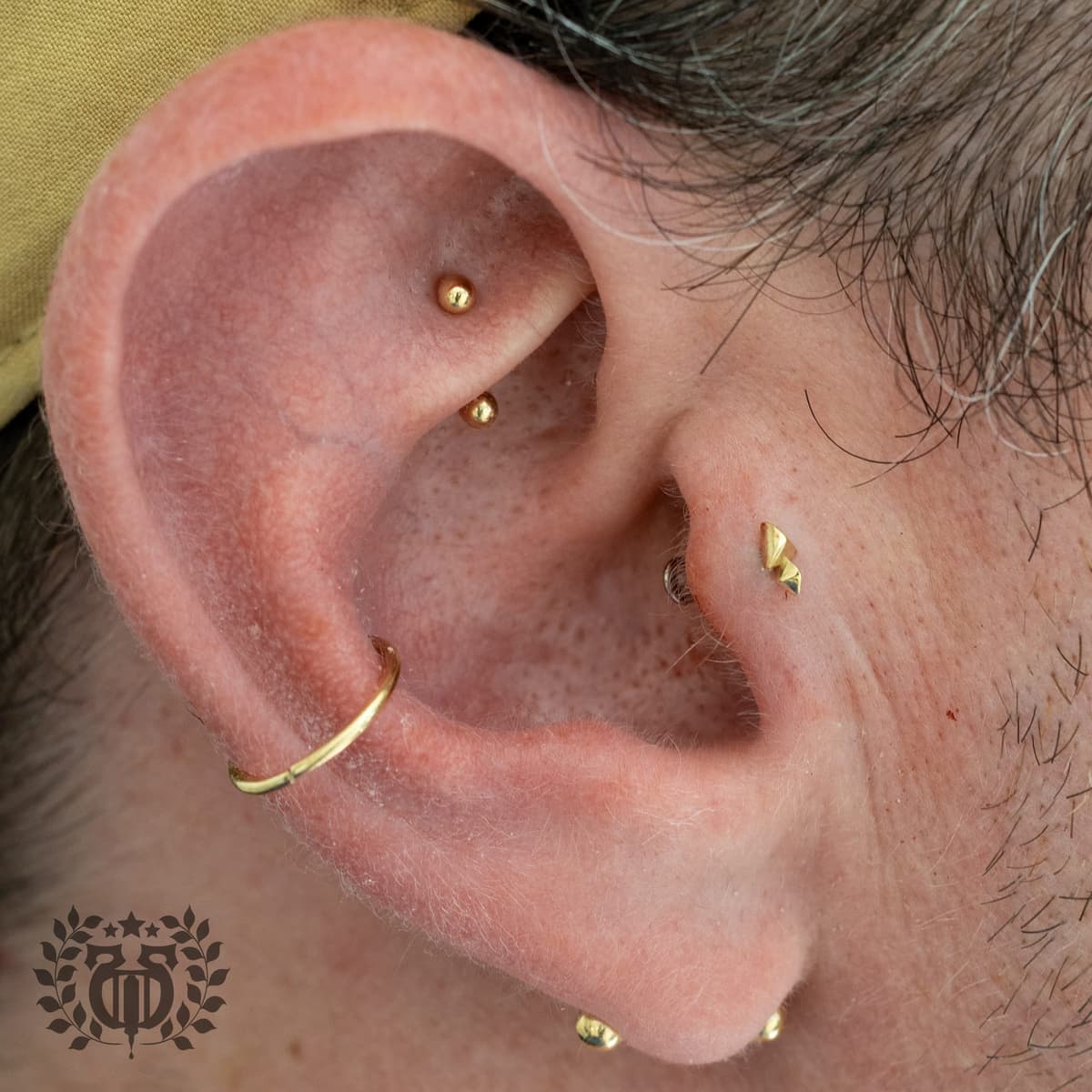 Rook piercing at Apollo Studio Los Angeles