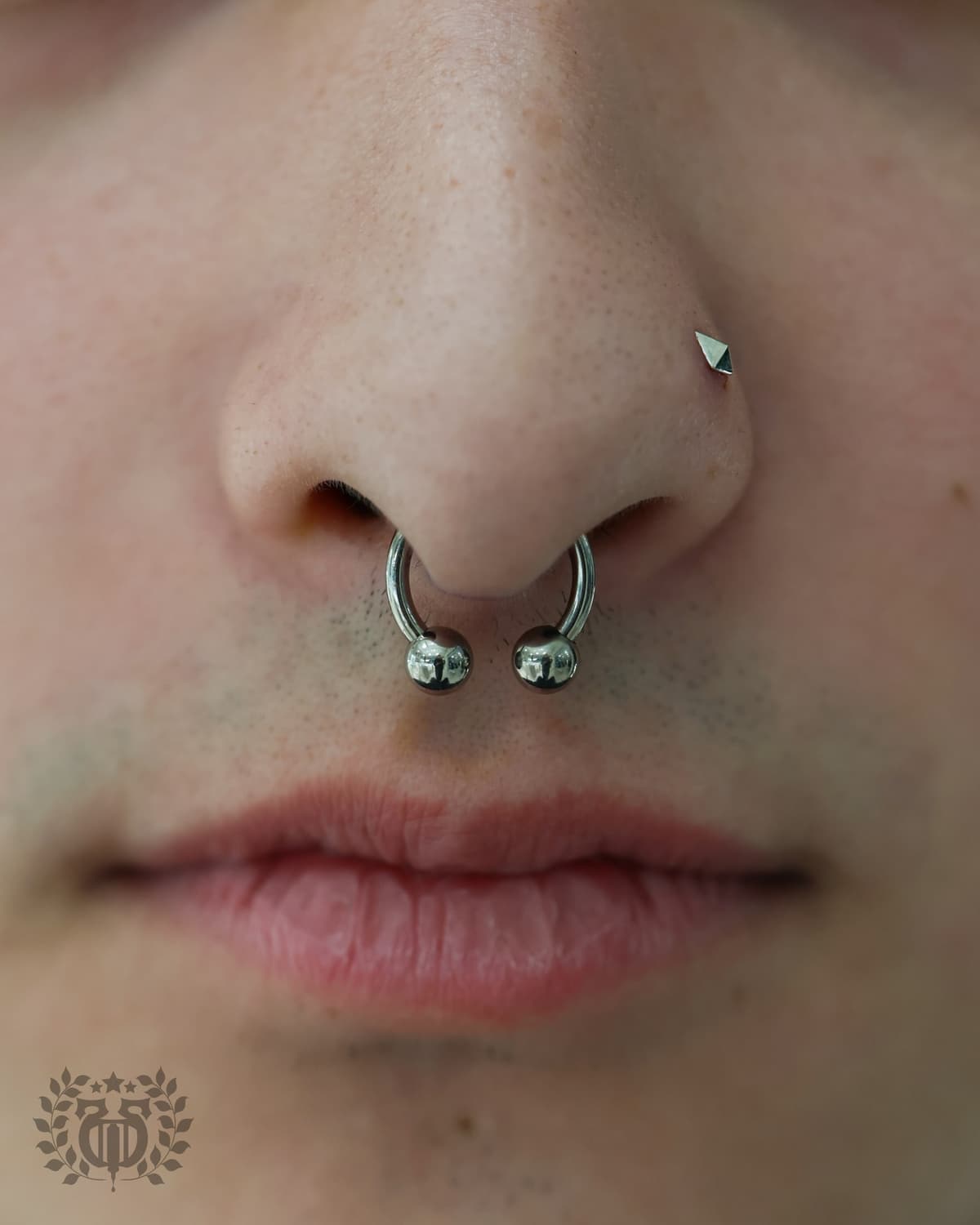 Septum piercing at Apollo Studio Los Angeles