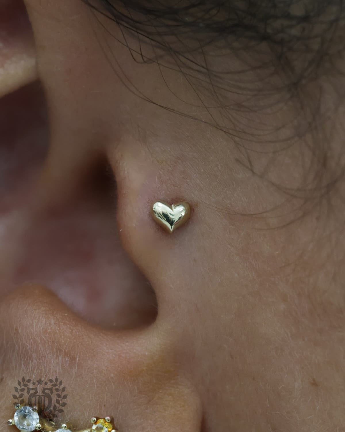 Tragus piercing at Apollo Studio Los Angeles